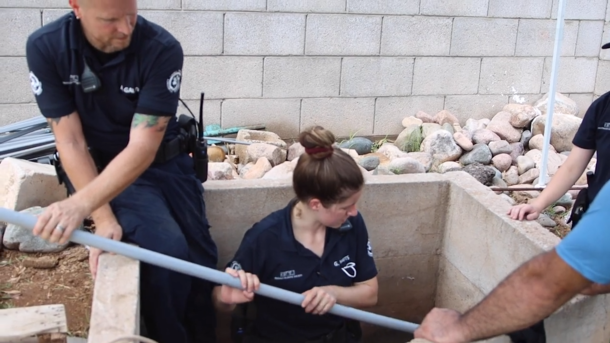 Rescuers who took hours to dig out goat who got stuck in giant irrigation pipe, save his life - picture 2