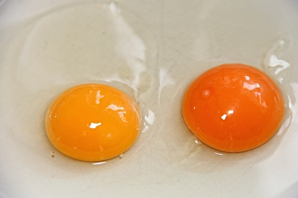 Research Reveals: What Happens To Your Body If You Eat Two Eggs A Day - picture 5