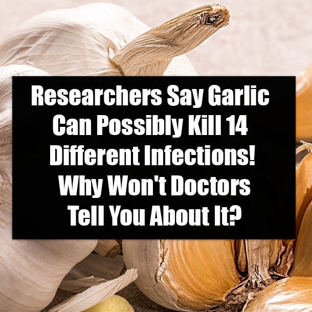 Researchers Say Garlic Can Possibly Kill 14 Different Infections! Why Won't Doctors Tell You About It?