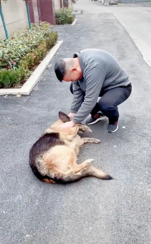 Retired police K9 gets teary eyed after she's reunited with handler she hasn’t seen in years - picture 4