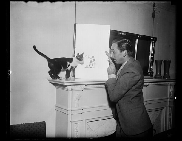 RIP: Nutmeg, famous cat of Disneyland with cocktail named in her honor, has passed away - picture 3