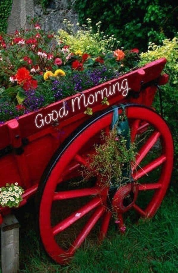 Rise and Shine: 10 Good Morning Quotes, Sayings, and Messages to Start Your Day Right - picture 2