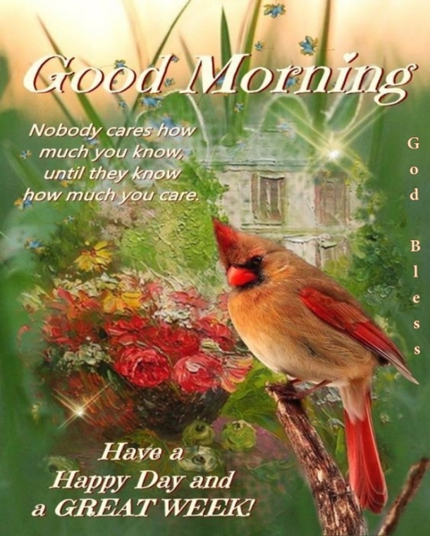 Rise and Shine: 10 Good Morning Quotes, Sayings, and Messages to Start Your Day Right - picture 9