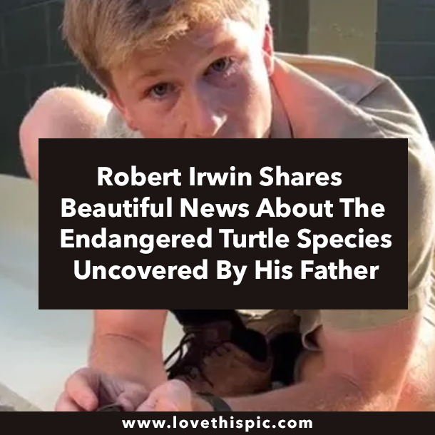 Robert Irwin Shares Beautiful News About the Endangered Turtle Species Uncovered By His Father