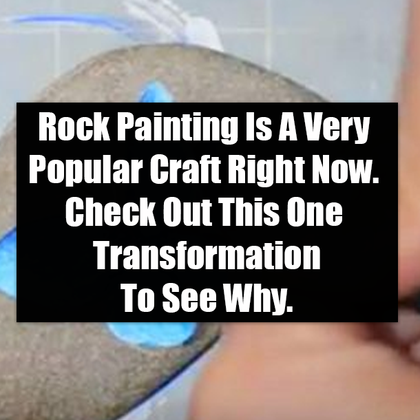 Rock Painting Is A Very Popular Craft Right Now. Check Out This One Transformation To See Why.