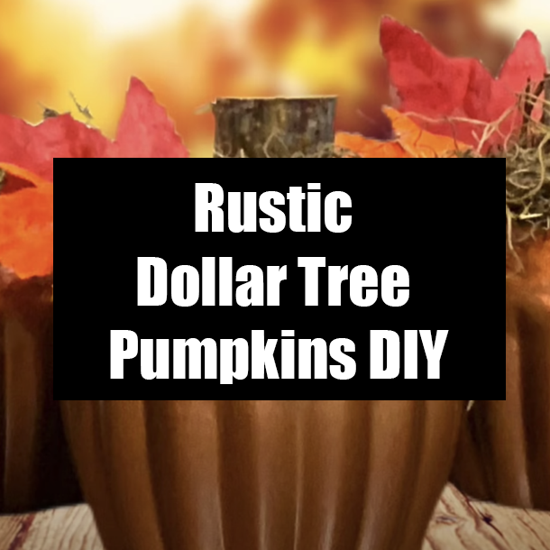 Rustic Dollar Tree Pumpkins DIY