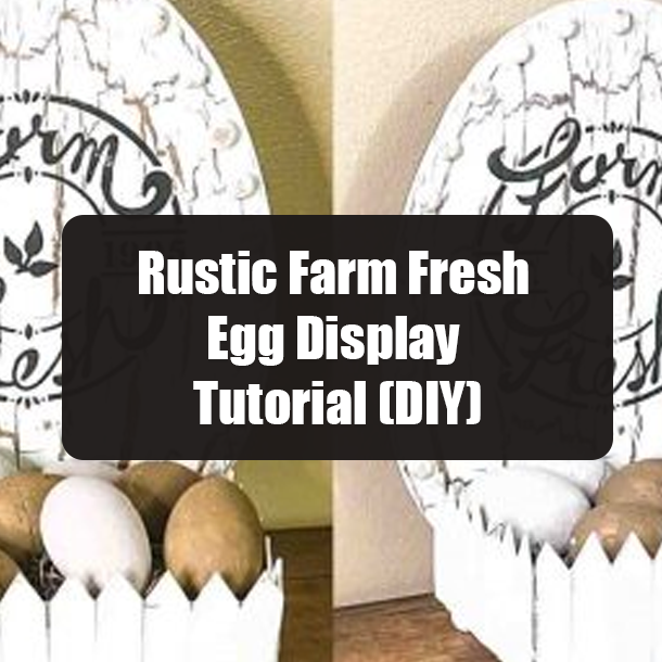 Rustic Farm Fresh Egg Display Tutorial (DIY)