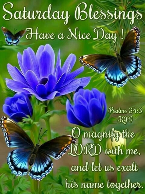 Saturday Blessings For A Beautiful Day - picture 8