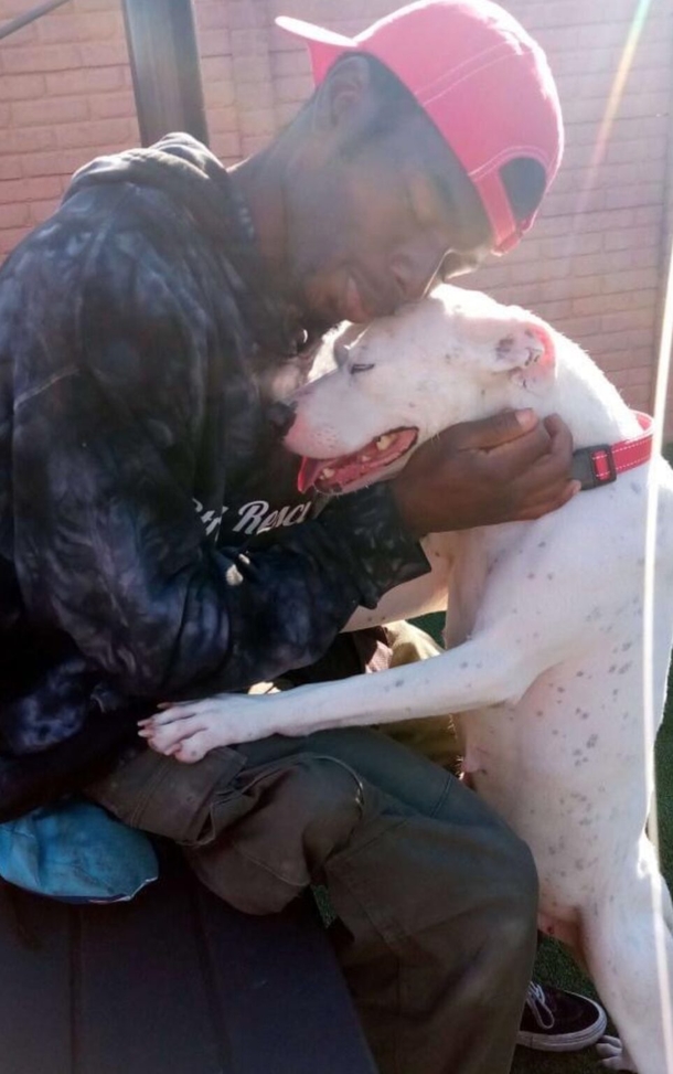Saved from squalor, beautiful dog smiles ear to ear for the people who rescued her and her beloved babies - picture 3