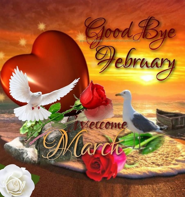 Say Goodbye To February With 10 Quotes That Will Help You Bring In The New Month - picture 9