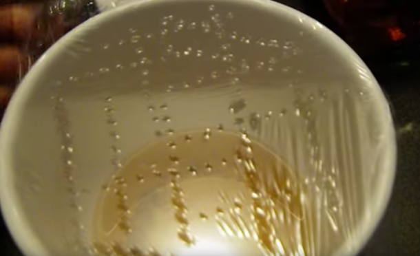 Say Goodbye To Fruit Flies And Gnats For Good - The Paper Towel Trick Changes Everything - picture 2