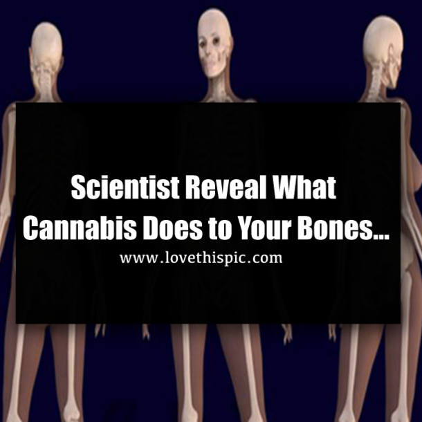 Scientist Reveal What Cannabis Does to Your Bones…