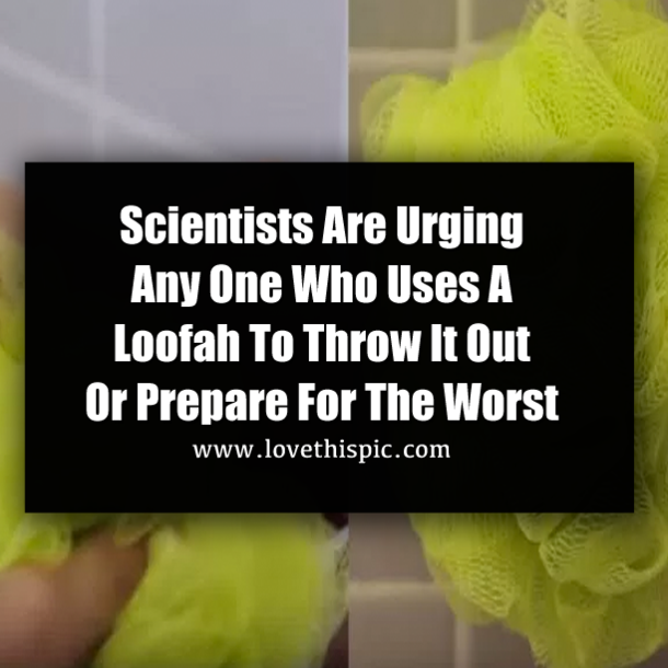 Scientists Are Urging Any One Who Uses A Loofah To Throw It Out Or Prepare For The Worst