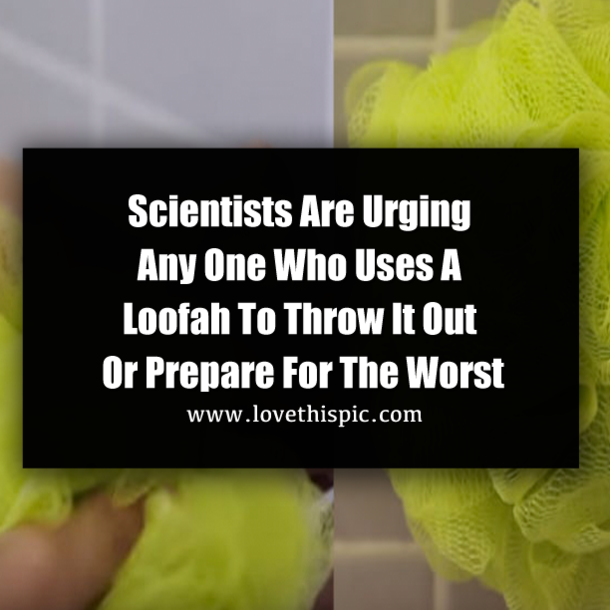 Scientists Are Urging Any One Who Uses A Loofah To Throw It Out Or Prepare For The Worst