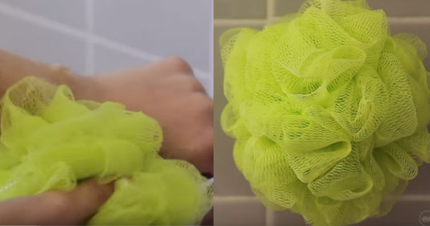 Scientists Are Urging Any One Who Uses A Loofah To Throw It Out Or Prepare For The Worst - picture 2