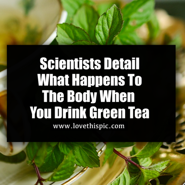 Scientists Detail What Happens To The Body When You Drink Green Tea