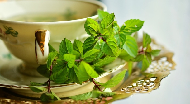 Scientists Detail What Happens To The Body When You Drink Green Tea - picture 2