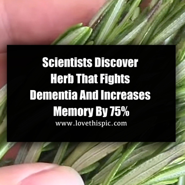 Scientists Discover Herb That Fights Dementia And Increases Memory By 75%