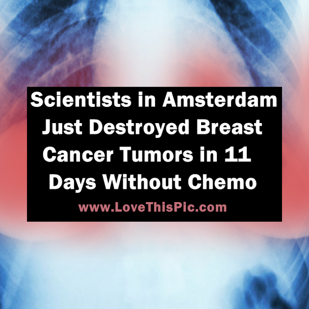 Scientists in Amsterdam Just Destroyed Breast Cancer Tumors in 11 Days Without Chemo