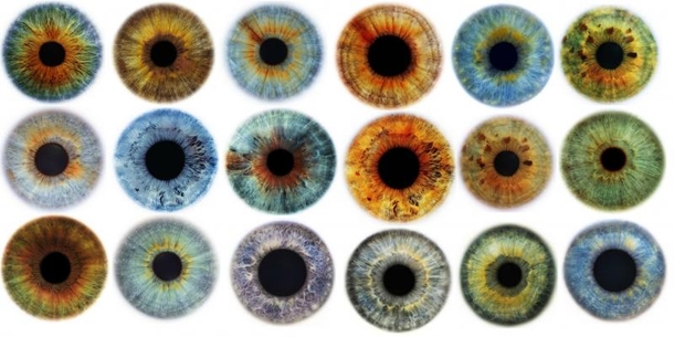 Scientists Say All People With Blue Eyes Have This One Weird Thing In Common. WOW! I Had No Idea! - picture 6