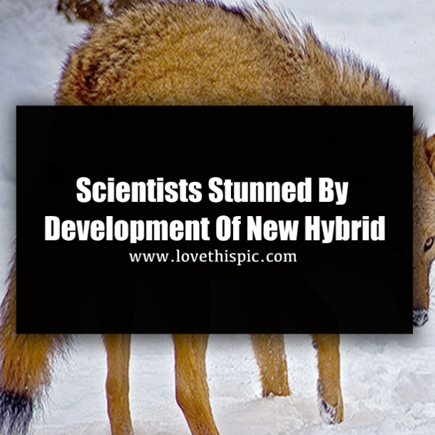Scientists Stunned By Development Of New Hybrid