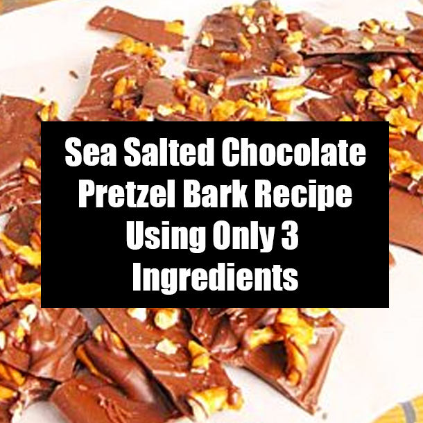 Sea Salted Chocolate Pretzel Bark Recipe Using Only 3 Ingredients
