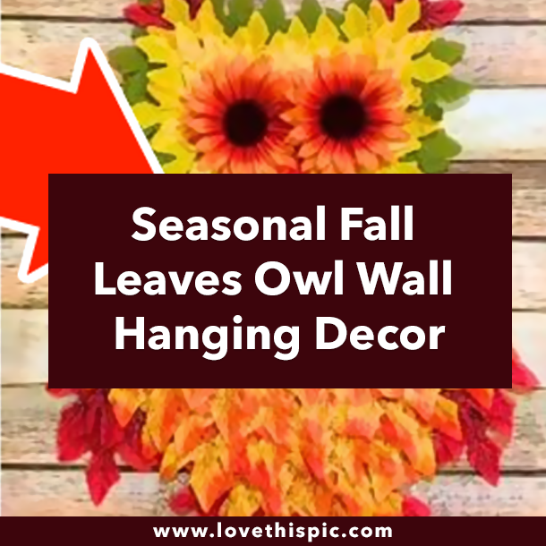 Seasonal Fall Leaves Owl Wall Hanging Decor