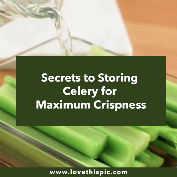 Secrets to Storing Celery for Maximum Crispness