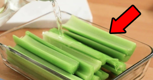 Secrets to Storing Celery for Maximum Crispness - picture 2