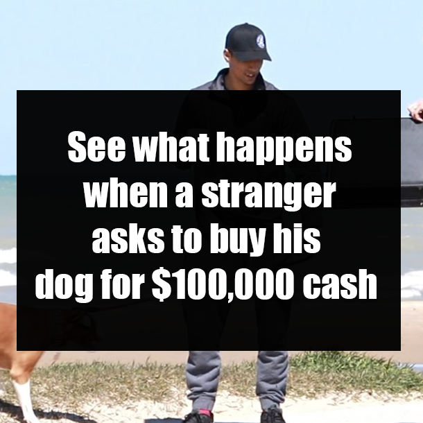 See what happens when a stranger asks to buy his dog for $100,000 cash