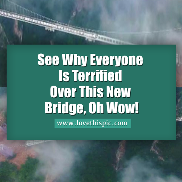 See Why Everyone Is Terrified Over This New Bridge, Oh Wow!