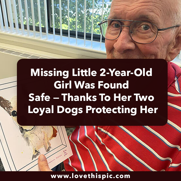 Senior citizens draw pictures of shelter dogs to help them find their forever homes