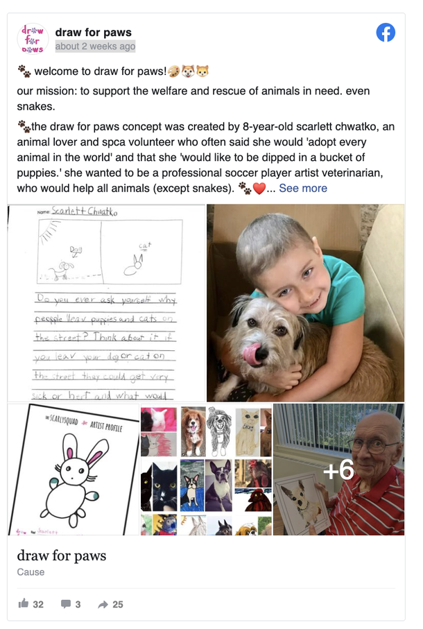 Senior citizens draw pictures of shelter dogs to help them find their forever homes - picture 2