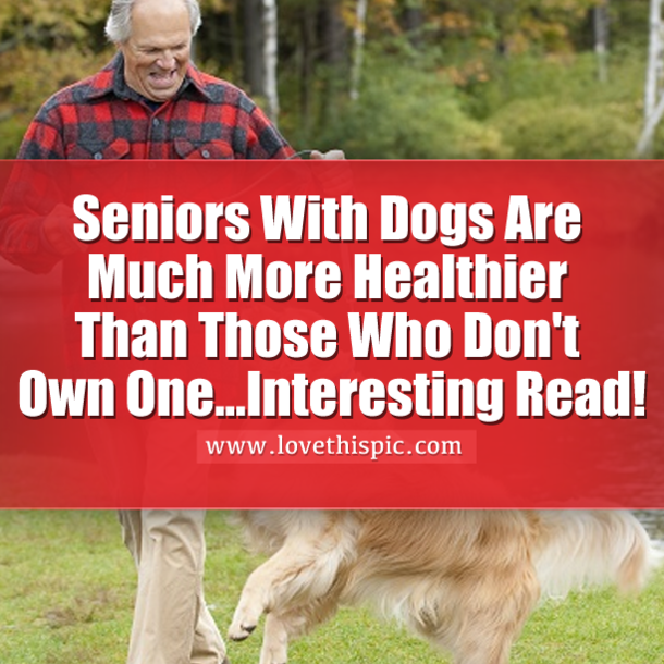 Seniors With Dogs Are Much More Healthier Than Those Who Don't Own One...Interesting Read!
