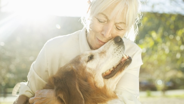 Seniors With Dogs Are Much More Healthier Than Those Who Don't Own One...Interesting Read! - picture 2