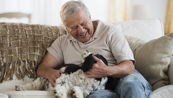Seniors With Dogs Are Much More Healthier Than Those Who Don't Own One...Interesting Read! - picture 3