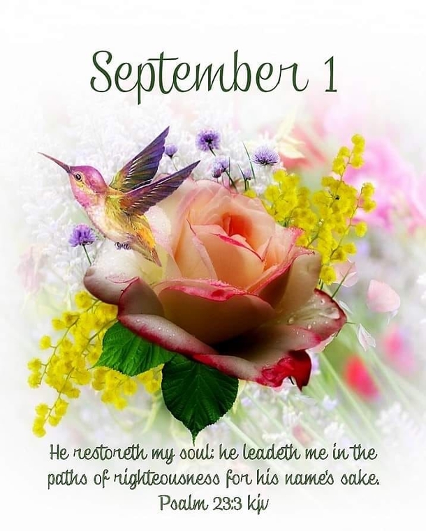September 1 Quotes To Say "Hello September" In A Beautiful Way - picture 6