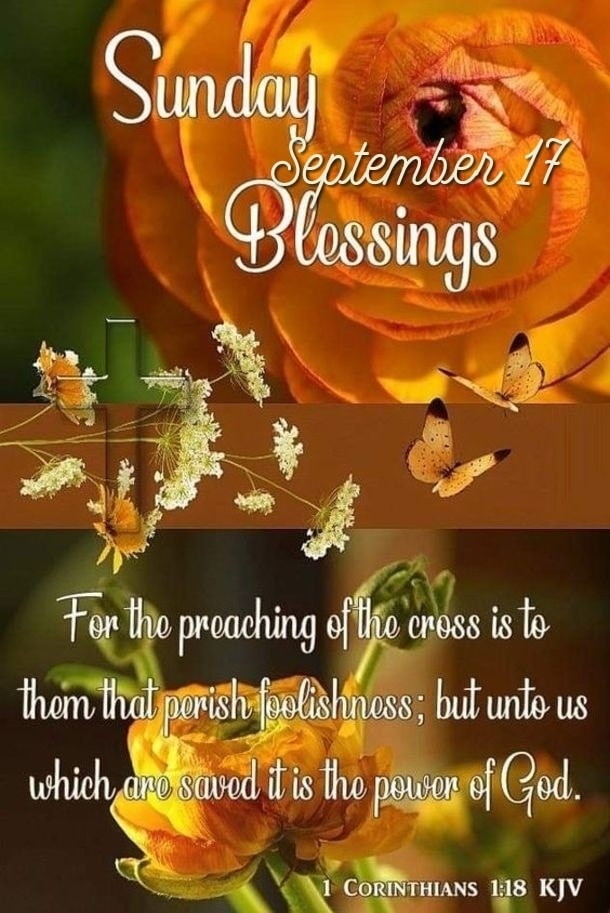 September 17 Quotes To Be Thankful For A New Day - picture 12