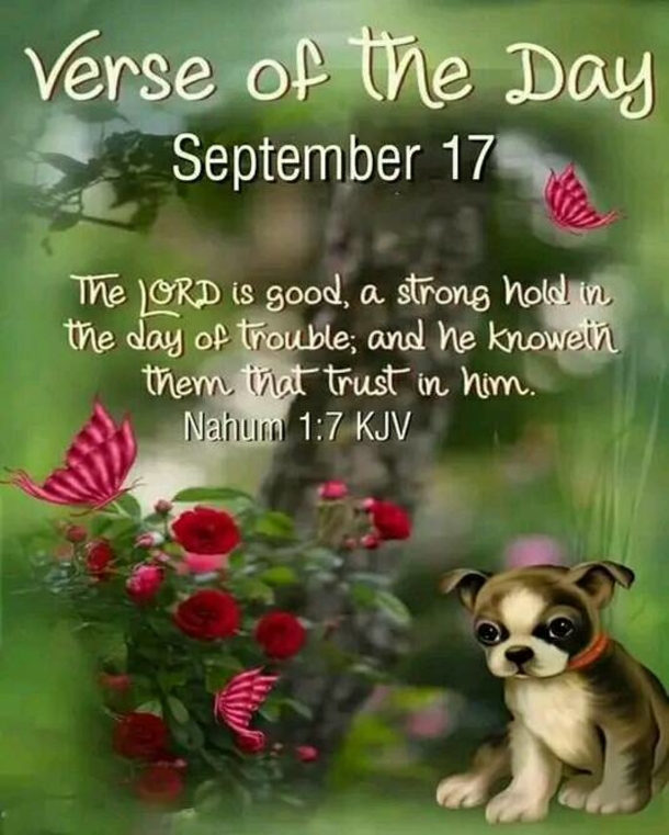 September 17 Quotes To Be Thankful For A New Day - picture 8