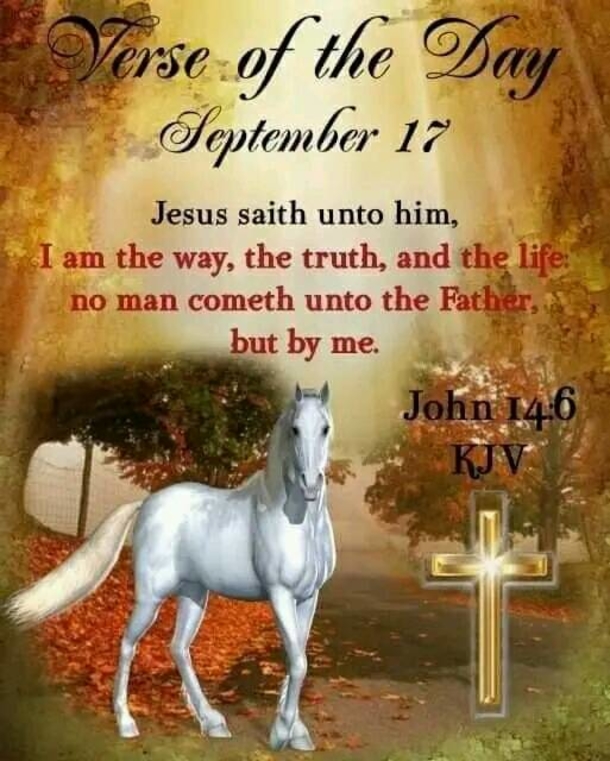 September 17 Quotes To Be Thankful For A New Day - picture 9