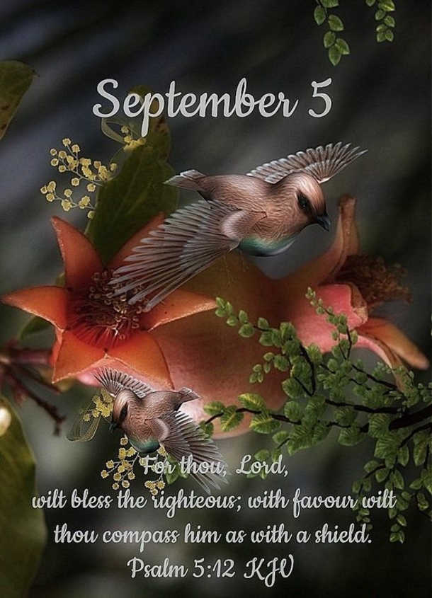 September 5 Images With Quotes For A Beautiful Day - picture 7