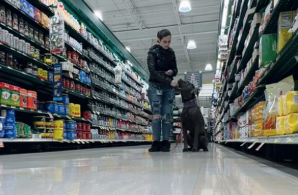 Service dog becomes a hero after owner has seizure in grocery store - picture 2