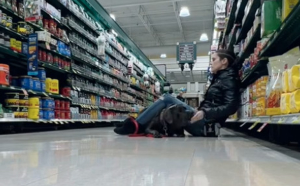 Service dog becomes a hero after owner has seizure in grocery store - picture 4