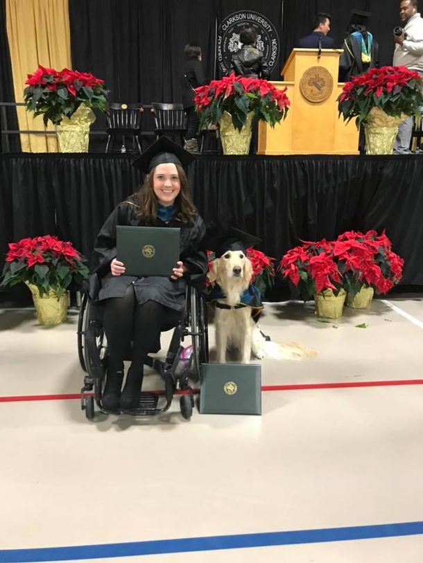 Service dog helped owner through grad school, so the university gave him his own degree - picture 4