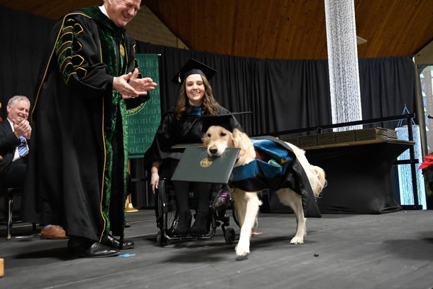 Service dog helped owner through grad school, so the university gave him his own degree - picture 5