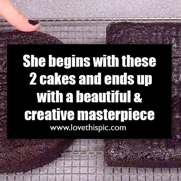 She begins with these 2 cakes and ends up with a beautiful & creative masterpiece
