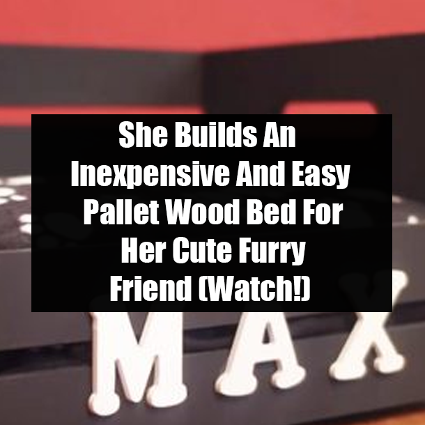 She Builds An Inexpensive And Easy Pallet Wood Bed For Her Cute Furry Friend (Watch!)
