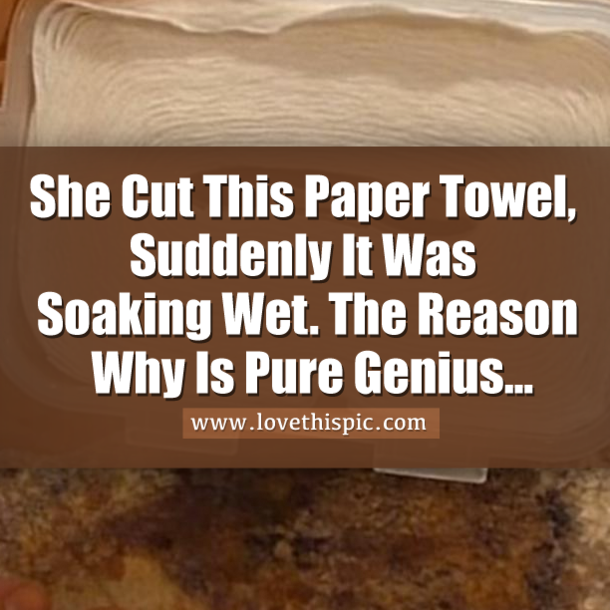She Cut This Paper Towel, Suddenly It Was Soaking Wet. The Reason Why Is Pure Genius...