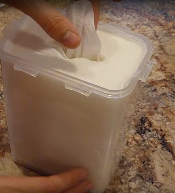 She Cut This Paper Towel, Suddenly It Was Soaking Wet. The Reason Why Is Pure Genius... - picture 10