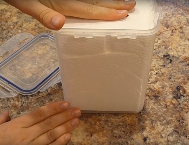 She Cut This Paper Towel, Suddenly It Was Soaking Wet. The Reason Why Is Pure Genius... - picture 3